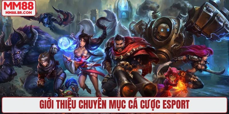 Giới thiệu chuyên mục cá cược esport