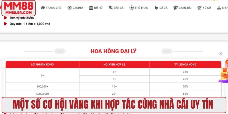 Một số cơ hội vàng khi hợp tác cùng nhà cái uy tín